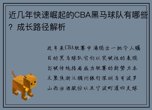 近几年快速崛起的CBA黑马球队有哪些？成长路径解析