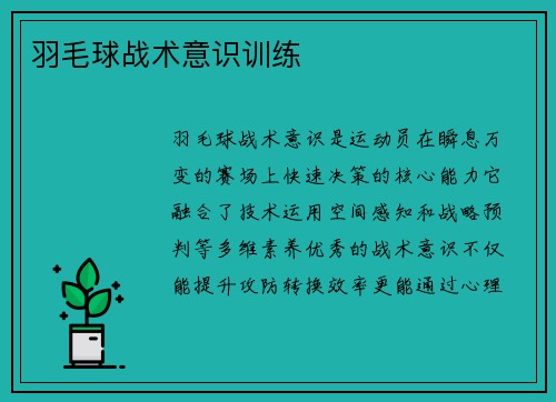 羽毛球战术意识训练